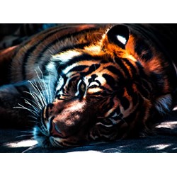 Grafika Kids (00961) - "Tiger" - 300 pezzi