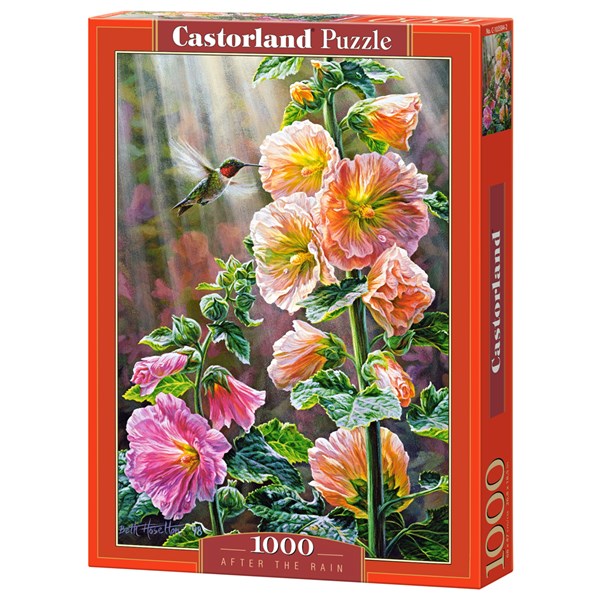 Castorland (C-103584) - "After the Rain" - 1000 pezzi
