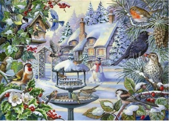 The House of Puzzles (2247) - "Winter Birds" - 500 pezzi