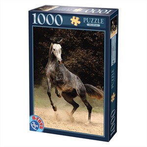 D-Toys (65988-PH02) - "Horses, Spotted Horse" - 1000 pezzi