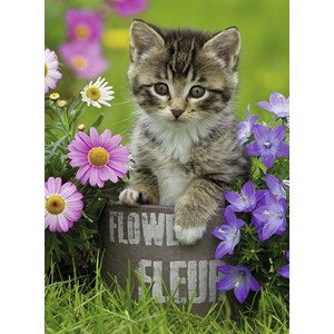 Ravensburger (10847) - "Kitten amongst the Flowers" - 100 pezzi