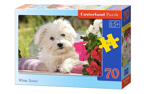 Castorland (B-007165) - "White Terrier" - 70 pezzi