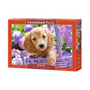 Castorland (C-103799) - "Puppy in Basket" - 1000 pezzi