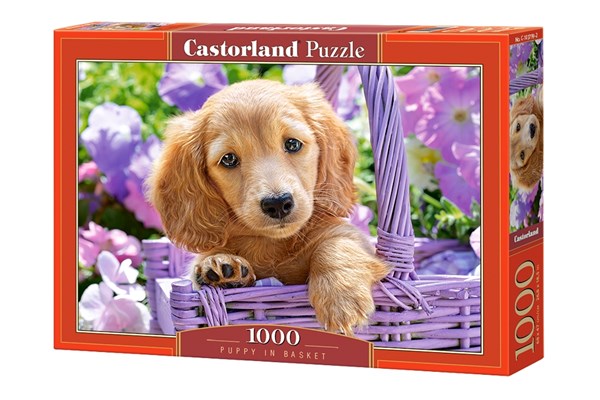 Castorland (C-103799) - "Puppy in Basket" - 1000 pezzi