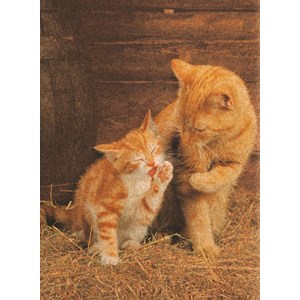 Clementoni (30205) - "Ginger Cats - Cork puzzle" - 500 pezzi