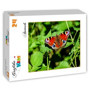 Grafika Kids (01229) - "Butterfly" - 24 pezzi