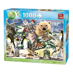 King International (05485) - "Artic Life" - 1000 pezzi