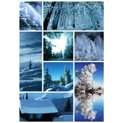 Puzzle Michele Wilson (00018) - "Winter Collage" - 150 pezzi