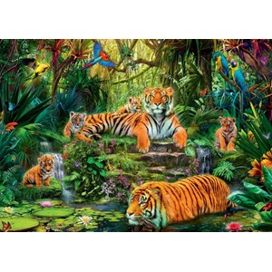 Jumbo (17245) - "Family of tigers at the Oasi" - 1000 pezzi