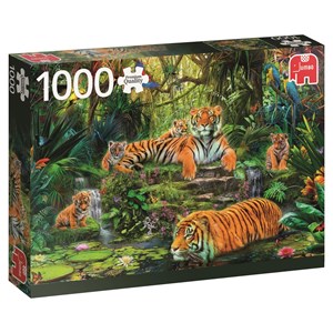 Jumbo (17245) - "Family of tigers at the Oasi" - 1000 pezzi