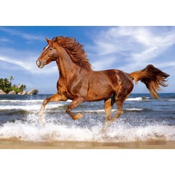 Castorland (B-52578) - "Horse on the Beach" - 500 pezzi