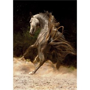 D-Toys (65988-PH03) - "Horse in the Dust" - 1000 pezzi
