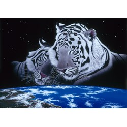 Grafika (T-00425) - Schim Schimmel, William Schimmel: "Sleep Tight" - 1000 pezzi