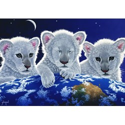 Grafika (02403) - Schim Schimmel: "Secret, Mystery and Hope" - 1000 pezzi