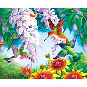 SunsOut (67605) - "Hummingbird Fly By" - 1000 pezzi