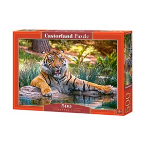 Castorland (B-52745) - "Sumatran Tiger" - 500 pezzi