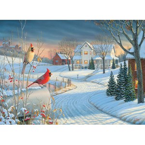 Eurographics (6000-0981) - Sam Timm: "Country Cardinals" - 1000 pezzi