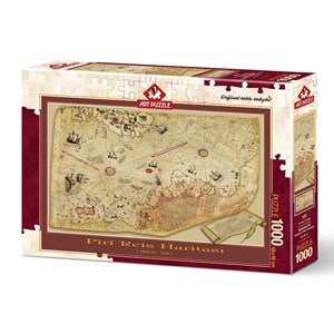 Art Puzzle (4308) - "The Piri Reis Map" - 1000 pezzi