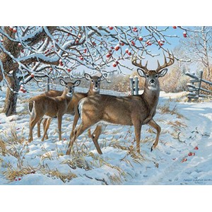 Cobble Hill (52083) - Persis Clayton Weirs: "Winter Deer" - 500 pezzi