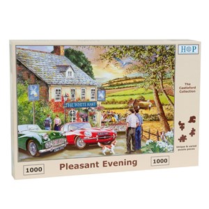 The House of Puzzles (4067) - "Pleasant Evening" - 1000 pezzi