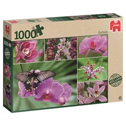 Jumbo (18354) - "Holland Orchids" - 1000 pezzi