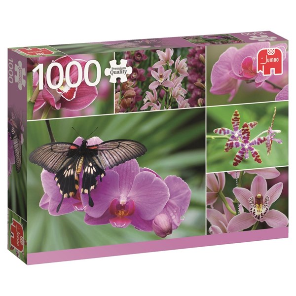 Jumbo (18354) - "Holland Orchids" - 1000 pezzi