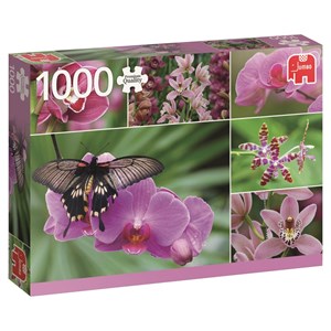 Jumbo (18354) - "Holland Orchids" - 1000 pezzi