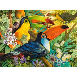 Castorland (C-300433) - David Galchutt: "Interlude" - 3000 pezzi