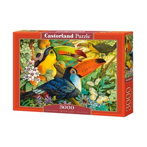 Castorland (C-300433) - David Galchutt: "Interlude" - 3000 pezzi