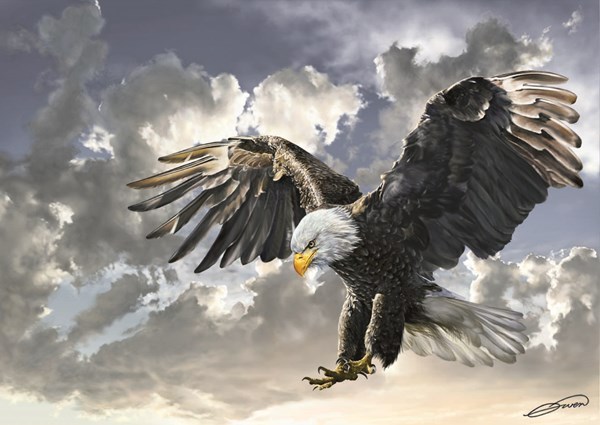 Art Puzzle (4167) - "Black and White" - 500 pezzi