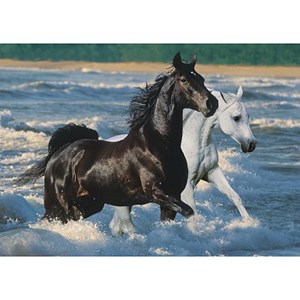 Ravensburger (16276) - "Horses on the Beach" - 1500 pezzi