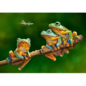 Castorland (B-52301) - "The Frog Companions" - 500 pezzi
