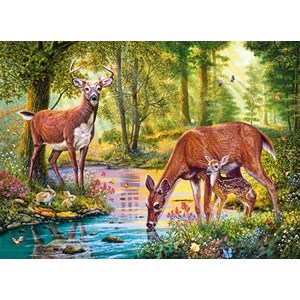 Castorland (B-030132) - "Woodland Stream" - 300 pezzi