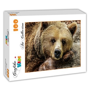 Grafika Kids (00799) - "Bear" - 100 pezzi