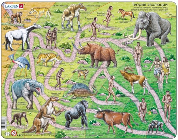 Larsen (HL3-RU) - "The Road From Ape to Human - RU" - 83 pezzi