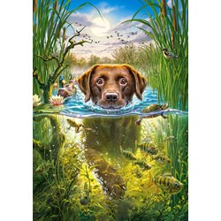 Castorland (B-52882) - "Swimming Dog" - 500 pezzi