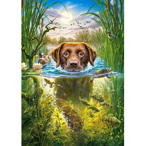 Castorland (B-52882) - "Swimming Dog" - 500 pezzi