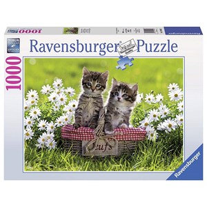 Ravensburger (19480) - "Picnic on the meadow" - 1000 pezzi