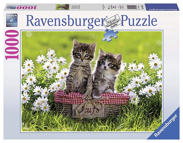 Ravensburger (19480) - "Picnic on the meadow" - 1000 pezzi