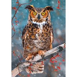 Castorland (B-52387) - "Great Horned Owl" - 500 pezzi