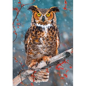 Castorland (B-52387) - "Great Horned Owl" - 500 pezzi
