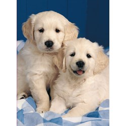 Ravensburger (14238) - "Golden Retriever" - 500 pezzi