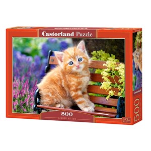 Castorland (B-52240) - "Ginger Kitten" - 500 pezzi