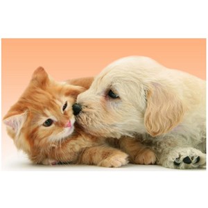 Ravensburger (14172) - "Tender Friendship" - 500 pezzi