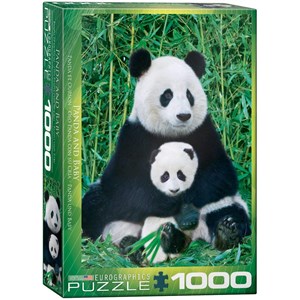 Eurographics (6000-0173) - "Panda and Baby" - 1000 pezzi