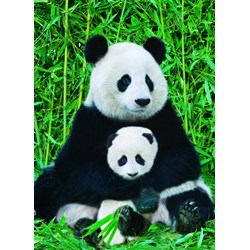 Eurographics (6000-0173) - "Panda and Baby" - 1000 pezzi