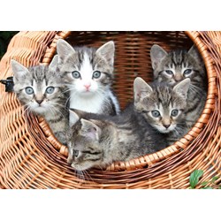 Grafika Kids (00522) - "Kittens in a Basket" - 24 pezzi