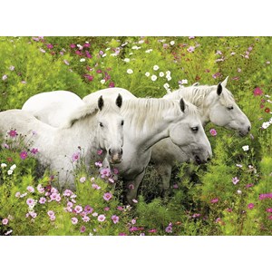 Ravensburger (13218) - "Horses on the Flower Meadow" - 300 pezzi