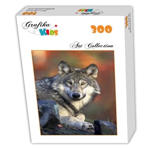 Grafika Kids (00515) - "Wolf" - 300 pezzi