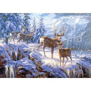 Castorland (C-102501) - "In the Middle of the Forest" - 1000 pezzi